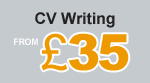 Professional CV writing