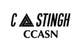 Castingh Services