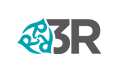 3R Global